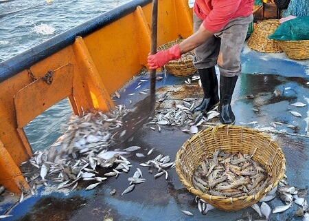 Sernapesca difunde Ley de Descarte a armadores de la pesca industrial