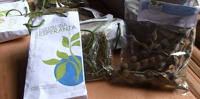 Más de 200 mil familias rurales viven de recolección de Productos Forestales no Madereros