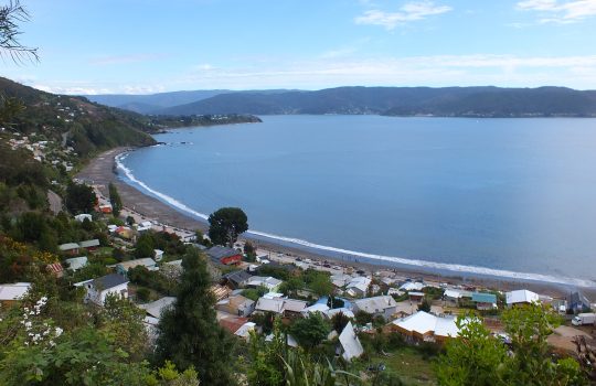 Servicios públicos de Valdivia recaban información de proyectos inmobiliarios en zona costera ante denuncias por infracciones medioambientales