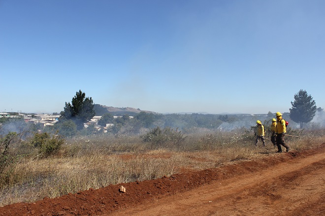 Se levantó restricción al uso del fuego para  quemas de desechos agrícolas en toda la Región del Bio-Bío