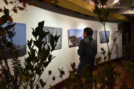 Exposición fotográfica “Senderos” se exhibe en la Galería de Arte Municipal de Temuco