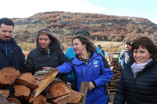 Intendente de Aysén y ministra de Energía visitan a mircoempresaria de la leña en Balmaceda