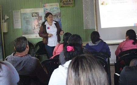 Centro de Desarrollo de Negocios de Concepción visitó a microempresarios de isla Santa María