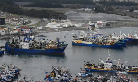 Deponen paralización de trabajadores de la industria pesquera del Biobío