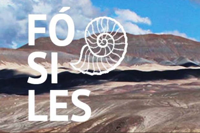 Exposición con fósiles del jurásico se presentará en Valdivia