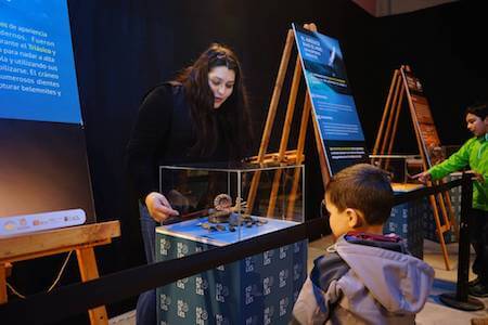 Últimos días para visitar Fósiles en el mall de Valdivia