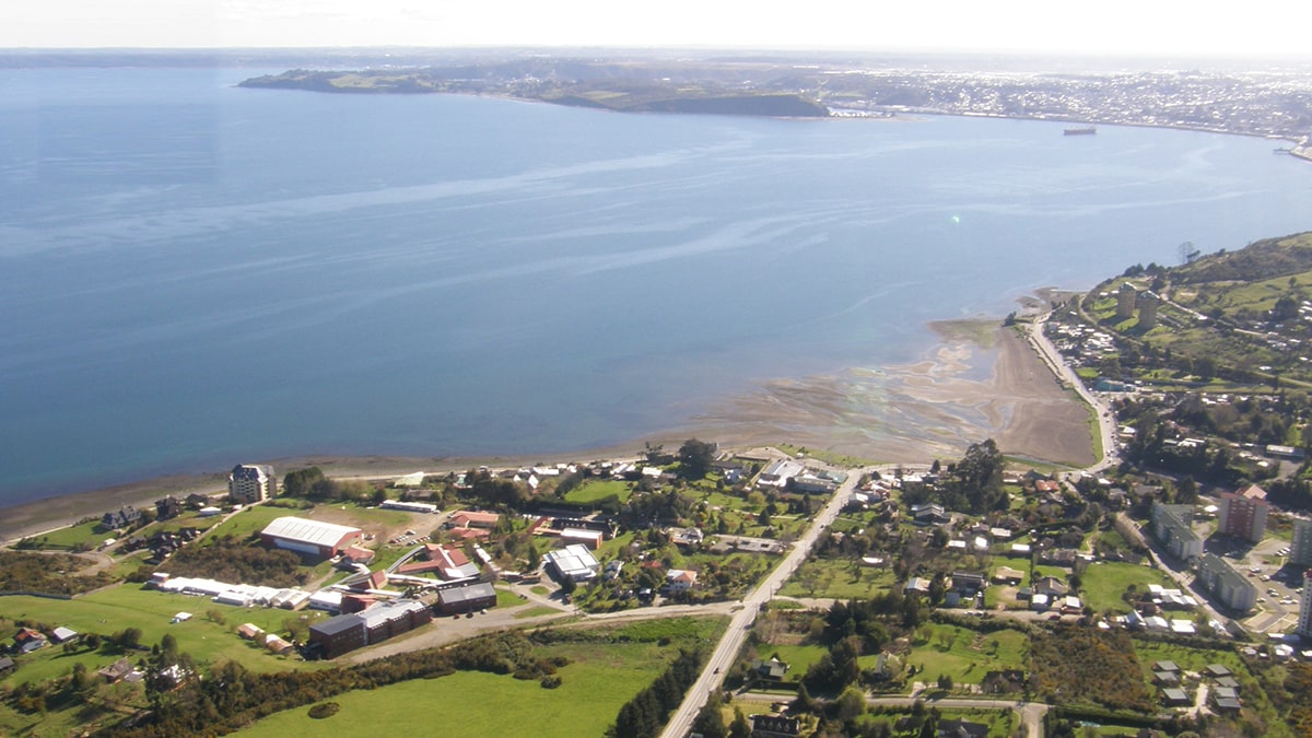 “Los docentes cantan a Latinoamérica”: Sindoc UACh ofrecerá conciertos en campus de Osorno, Puerto Montt y Coyhaique