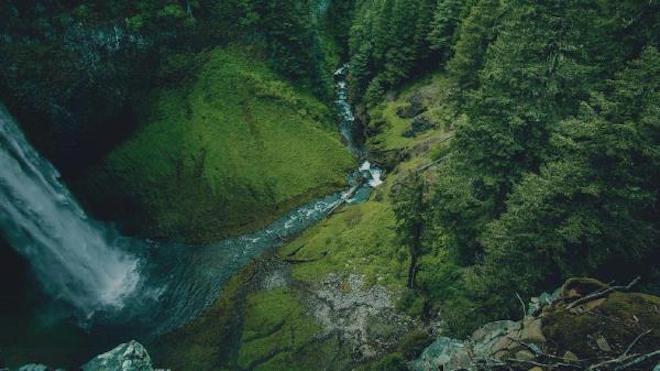 Con llamado a gestionar los bosques para el agua comenzó conferencia científica en la UACh