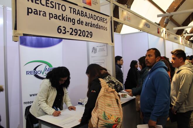 700 cupos de trabajo se ofrecieron en la Feria Laboral del Sence en Valdivia
