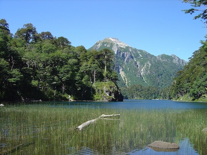 Conaf celebra Día Nacional del Medioambiente liberando ingreso a parques nacionales