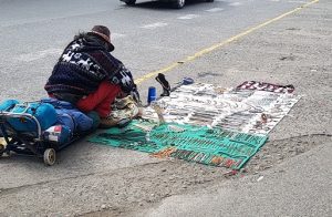 Corte de Concepción ordena a municipalidad y carabineros mayor fiscalización sobre comercio ambulante