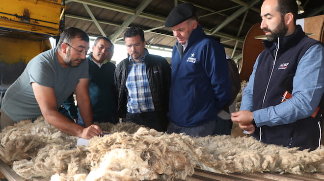 Cores y productores reconocen el futuro de la actividad ovina en Día de la Ovejería celebrado en Cochrane