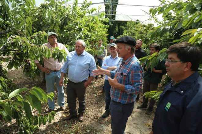 Ministro Walker tras gira por Región de Aysén: “Estamos produciendo cerezos en la Patagonia en una época donde no hay cerezas en el mundo”