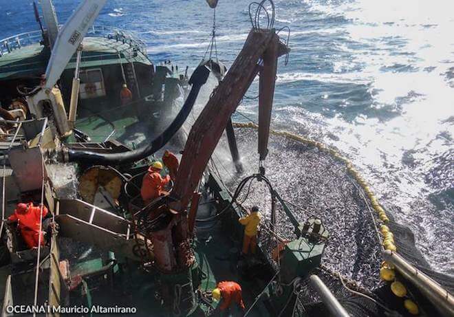 Nueva ley que moderniza a Sernapesca deja a Chile a la vanguardia para el combate a la pesca ilegal