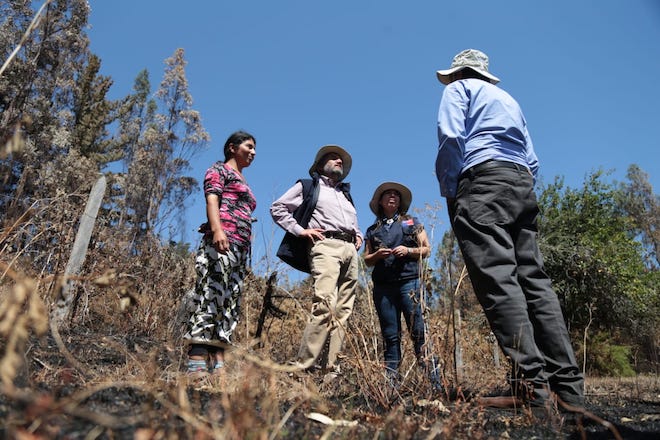 INDAP entrega recursos de emergencia a agricultores afectados por incendios en La Araucanía