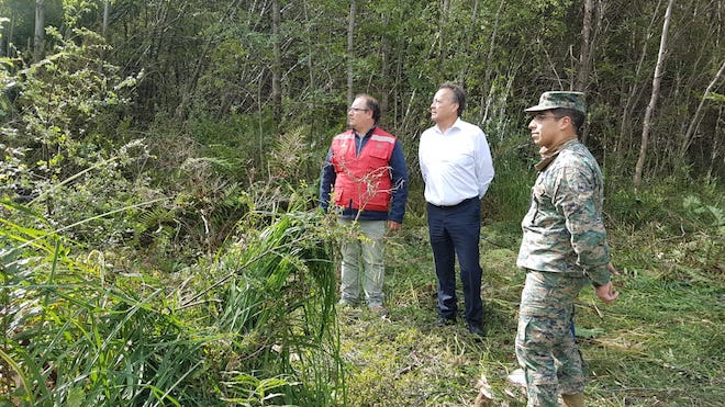 Conaf junto a servicios públicos y Ejército construyen cortafuego en Villa Chiloé