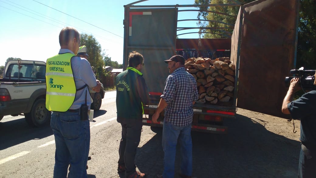 Mesa Regional de Fiscalización Forestal realizó inspección educativa en Osorno