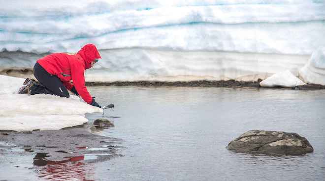 Estudian los niveles de mercurio en lagos y lagunas de la Antártica