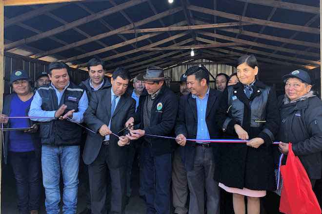 Cooperativa Campesina Mapuche inaugura bodega y maquinaria agrícola para mejorar la comercialización de papas