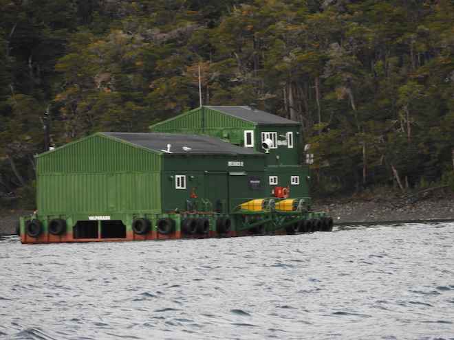 Corte acoge recurso contra Nova Austral: duro golpe a intento de expansión de salmoneras en la Patagonia