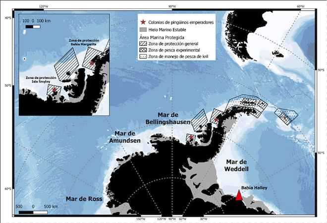 El fracaso reproductivo de pingüinos emperador en el mar de Weddell y la importancia de las Áreas Marinas Protegidas en la Antártica
