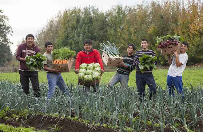 INDAP Araucanía busca potenciar emprendimientos de jóvenes rurales de la región