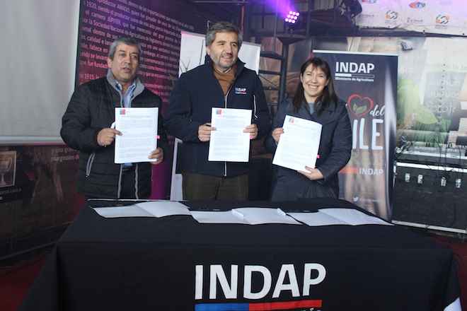 INDAP  y Cooperativa Ovicoop firman alianza productiva para potenciar comercialización de carne de cordero gourmet