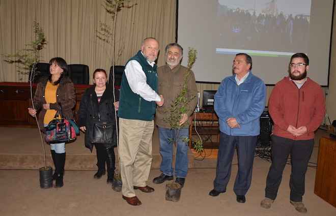 Municipalidad de Temuco entrega cinco mil árboles nativos a vecinos de la comuna
