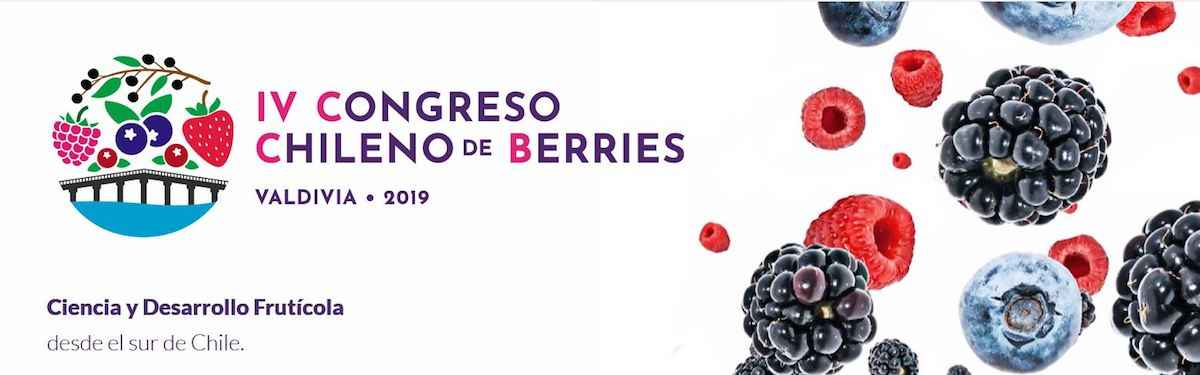 Valdivia será sede del 4to Congreso Chileno de Berries