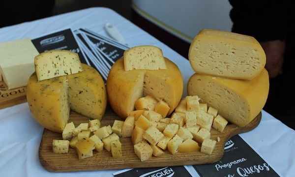 Seremi de Agricultura: “Sucedáneos del queso son una competencia desleal contra los cientos de queseros artesanales de La Araucanía”