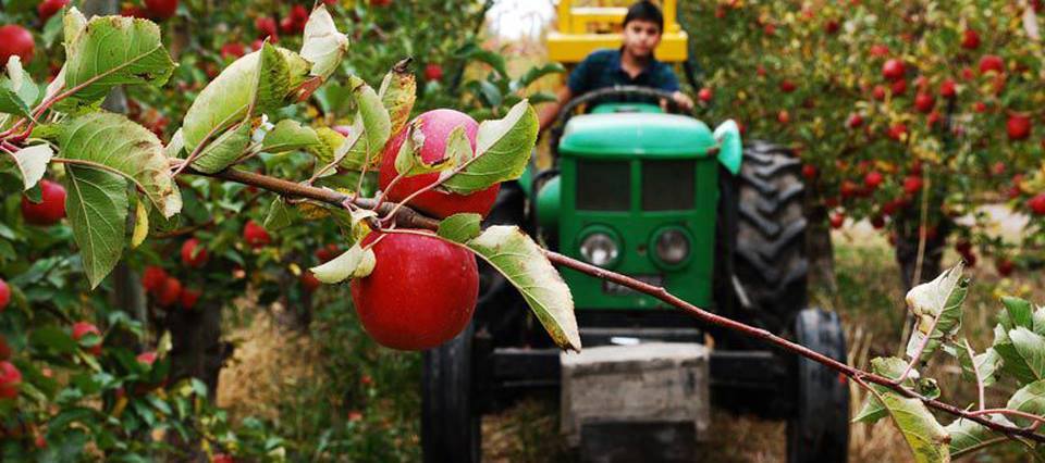 Fruittrade 2019 abordará la industria frutícola en un contexto de escasez de recursos y cambio climático