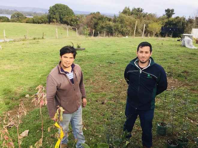 CONAF trabaja en restauración ecológica de vegetación ribereña en Lleu Lleu junto a las comunidades indígenas