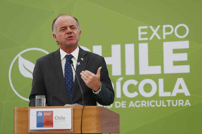 Más de 30.000 personas siguieron las alternativas  de Expo Chile Agrícola 2019