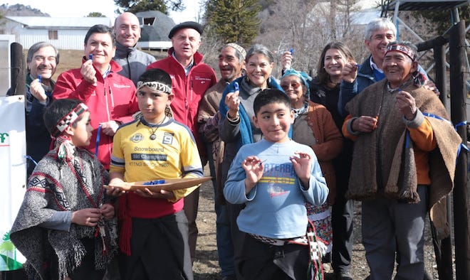 Comunidad Mapuche Quinquén rescata prácticas ancestrales del piñón y provisión de servicios ambientales en La Araucanía