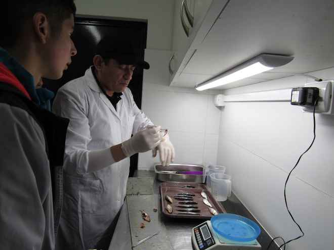 Escolares visitan las instalaciones de IFOP en Talcahuano
