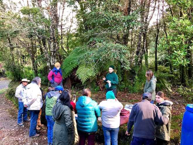 Destacan necesidad de conformar mesa regional para apoyar el trabajo de los recolectores de Productos Forestales No Madereros en Los Ríos