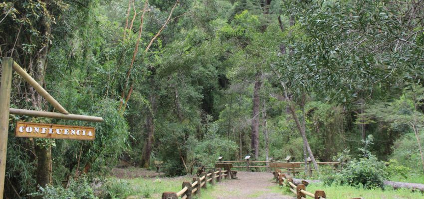 Reserva Nonguén de Concepción pasará a ser Parque Nacional