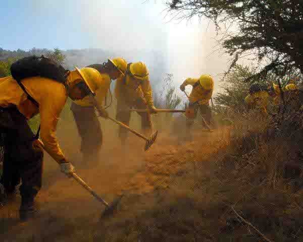 A pesar de la lluvia seremi de Agricultura llama a mantener medidas de prevención de incendios forestales