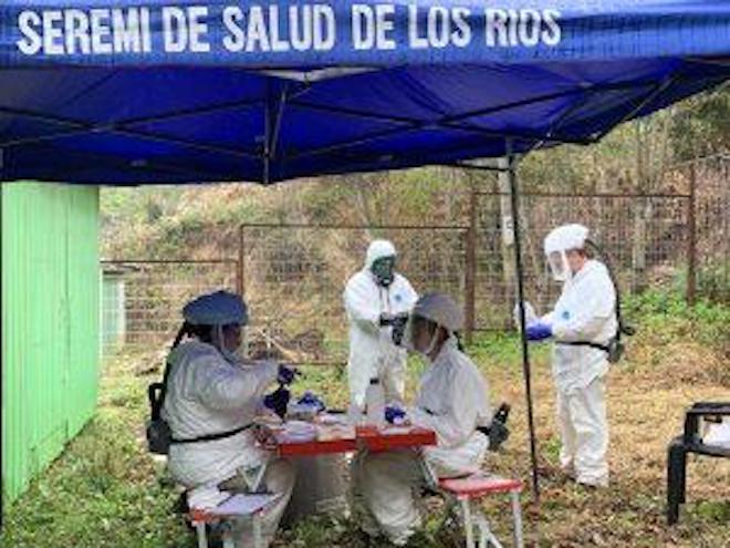 Seremi de Salud de Los Ríos confirmó segundo caso de hantavirus en la región
