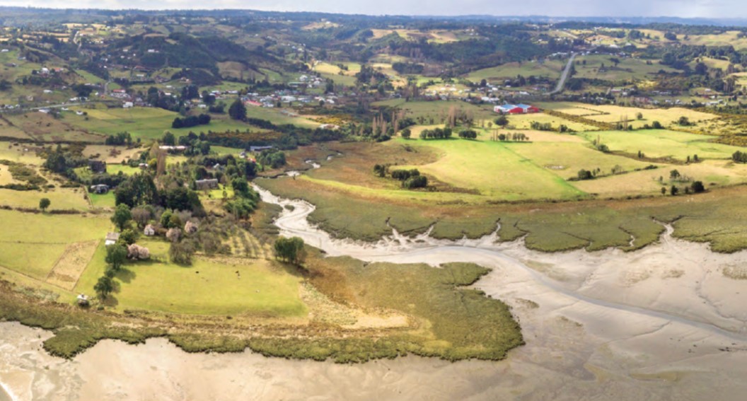 Libro didáctico aborda biodiversidad de Reserva Marina y Humedal de Putemún