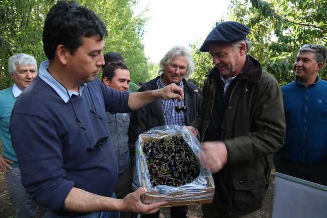 Ministro Walker se reúne con un grupo de productores cereceros de Chile Chico y les transmite calma respecto al envío de cerezas a China  