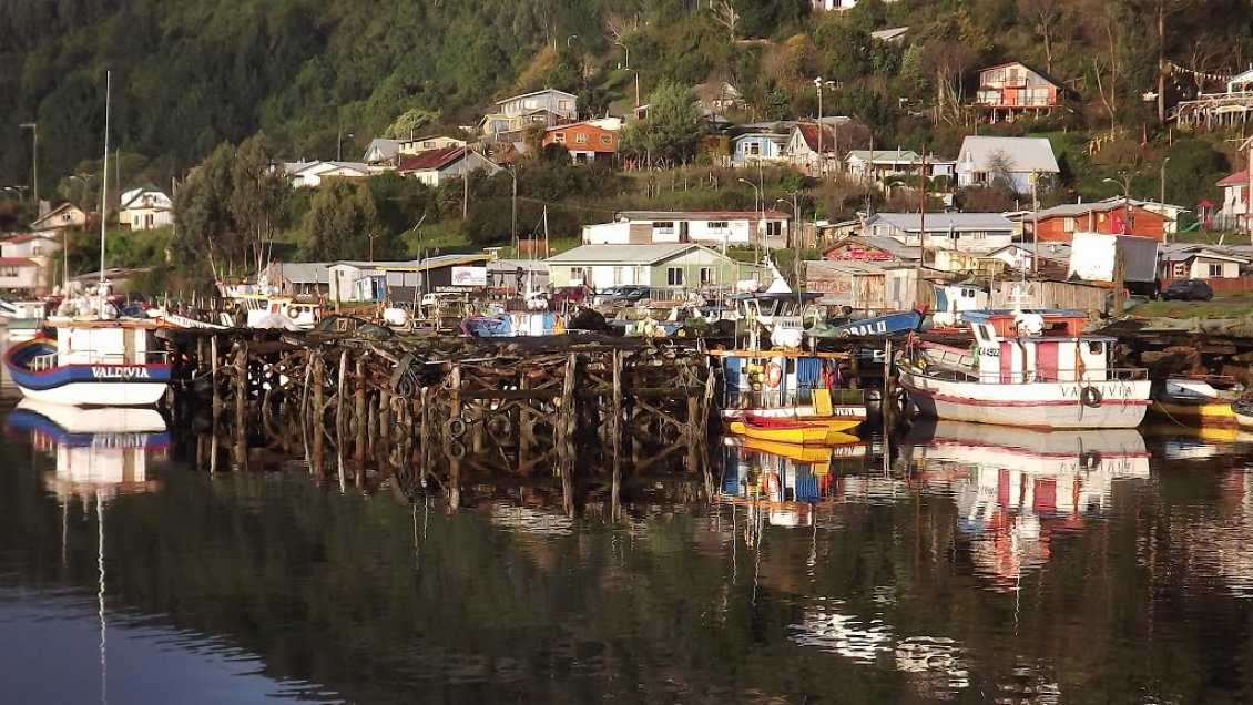 Autorizan pesca de investigación para caletas de Puerto Saavedra y Queule