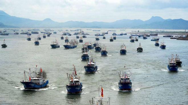 Comunidad demanda fiscalización por presencia de barcos asiáticos en costas chilenas