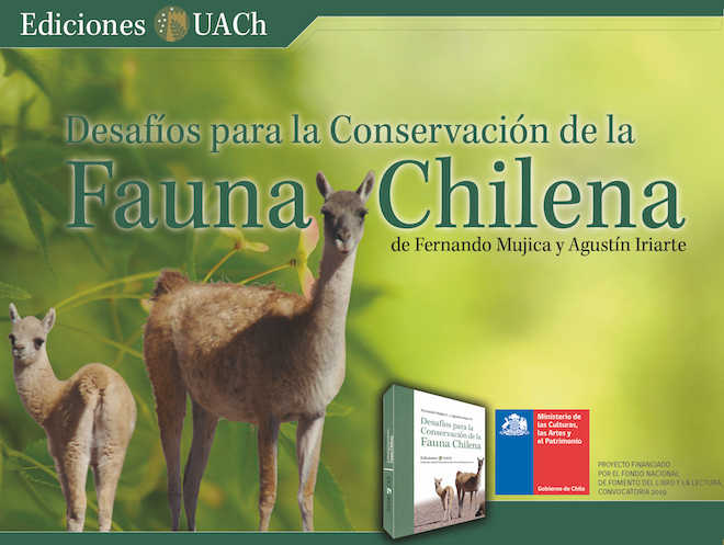 Libro sobre fauna chilena expone los desafíos para su conservación