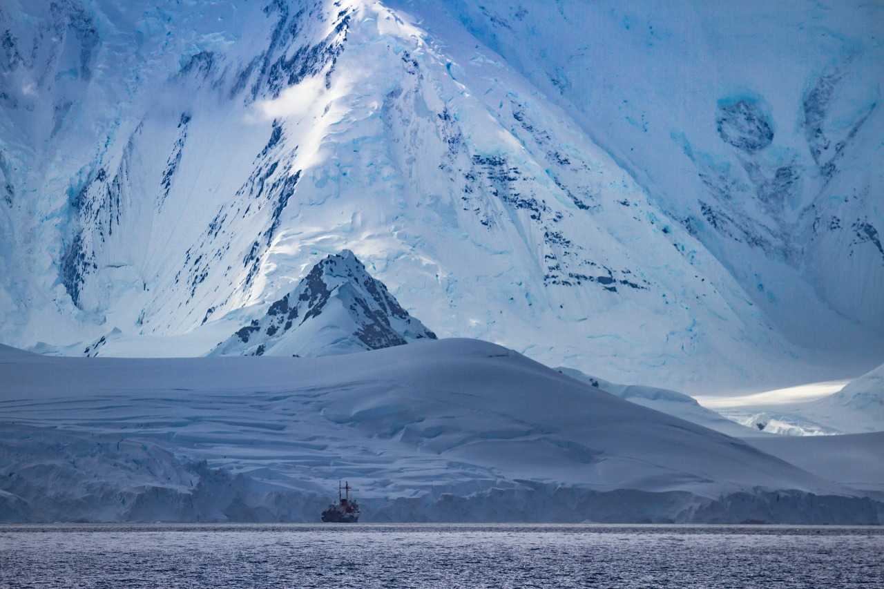 “Polar week” evento virtual reunirá a investigadores de regiones polares