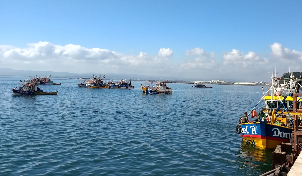 Sernapesca citó a tribunales de Justicia a más de 20 embarcaciones artesanales por pescar en la primera milla costera
