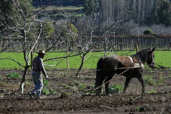 Concurso Historias de Nuestra Tierra integra categoría de fotografía para mostrar la cultura rural