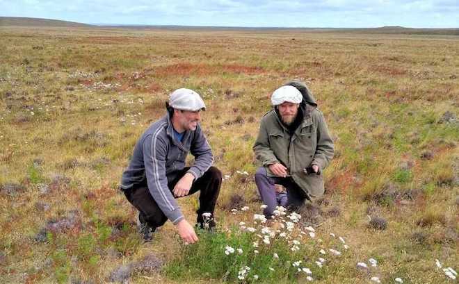 Agricultura en zonas extremas: investigan adaptabilidad de la alfalfa en La Patagonia