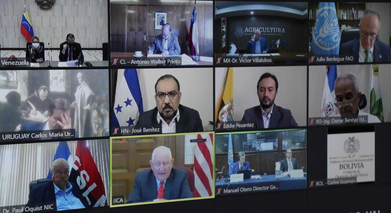 Ministros de agricultura de América acuerdan posición en conjunto para la activación agrícola post pandemia