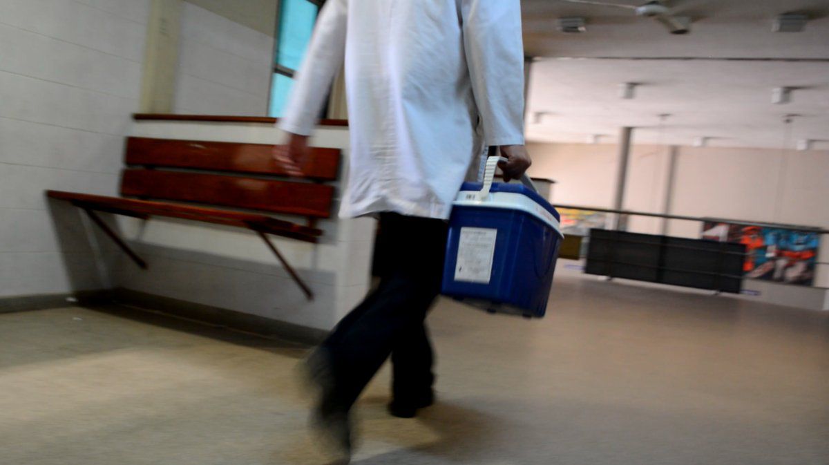 Entra en vigencia en Chile ley “automática” de donación de órganos